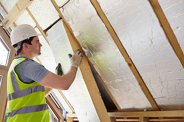Best Geographic-Specific Insulation Services in Fort Myers, FL